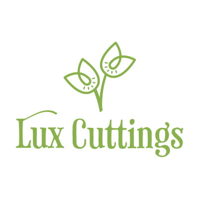 Lux Cuttings