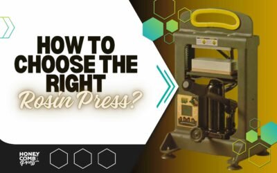 How to Choose the Right Rosin Press?